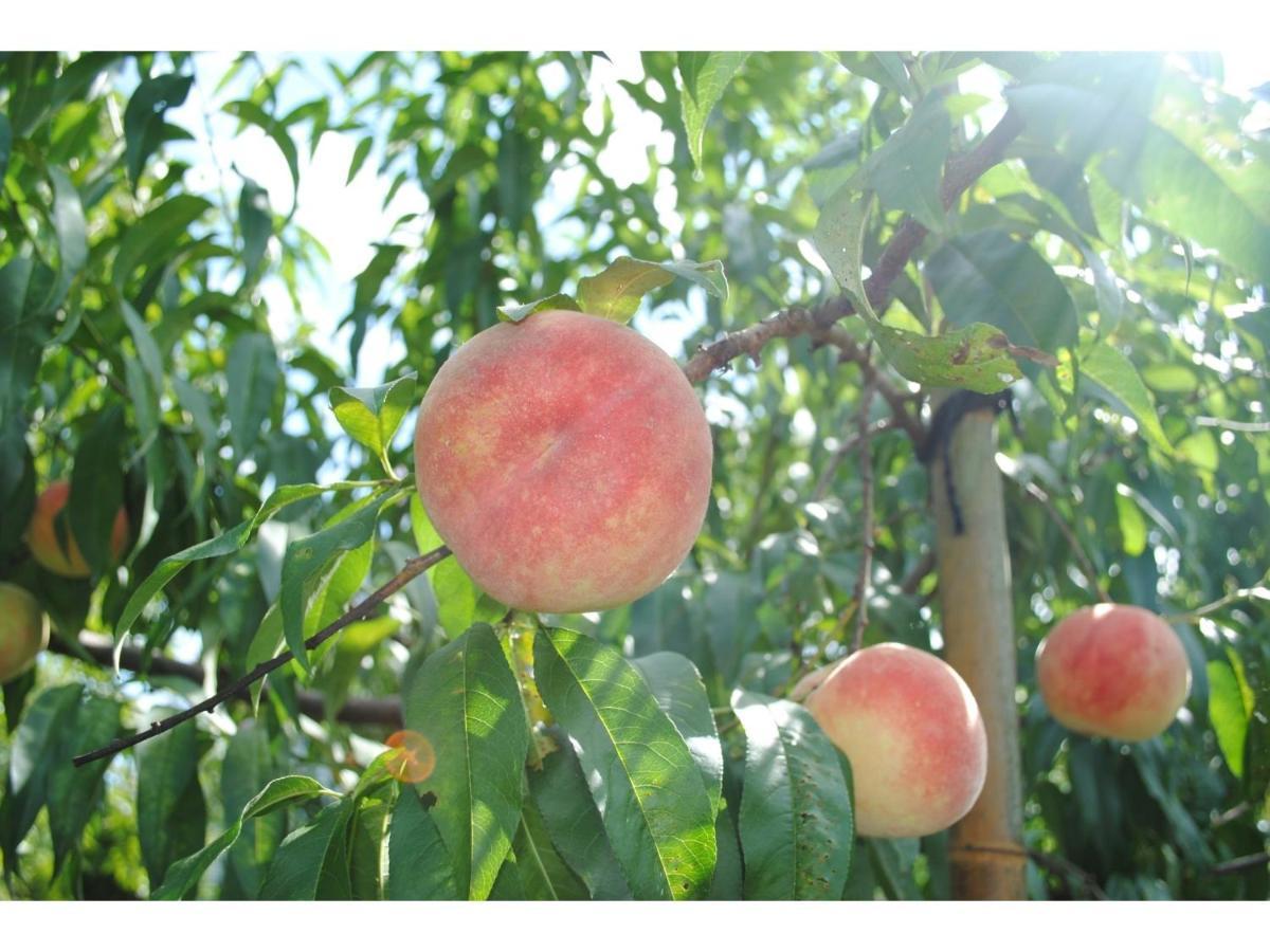 Kajitsu No Mori - Vacation Stay 53784V Ichinoseki Εξωτερικό φωτογραφία